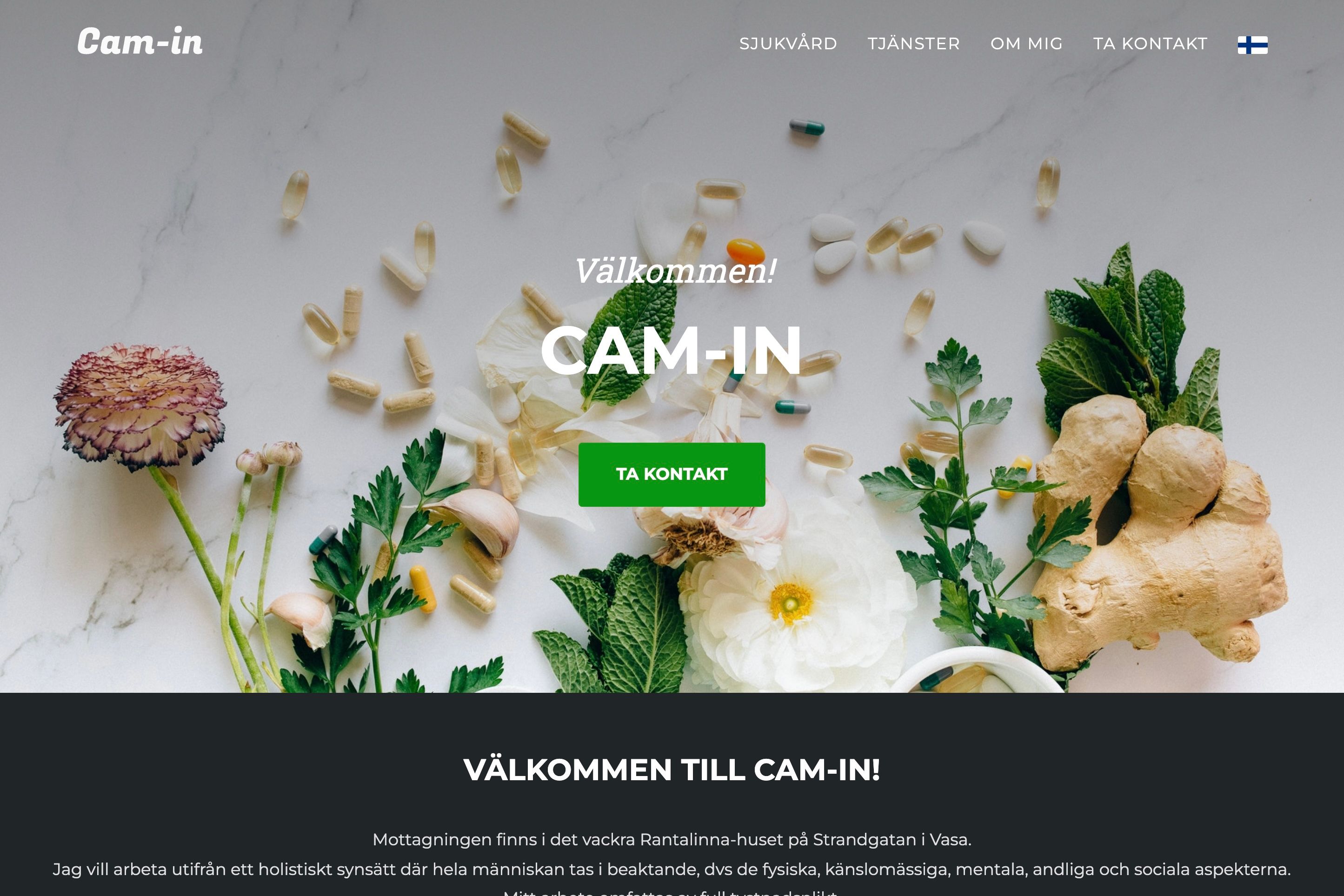 Cam-ins webbplats visad i en webbläsare